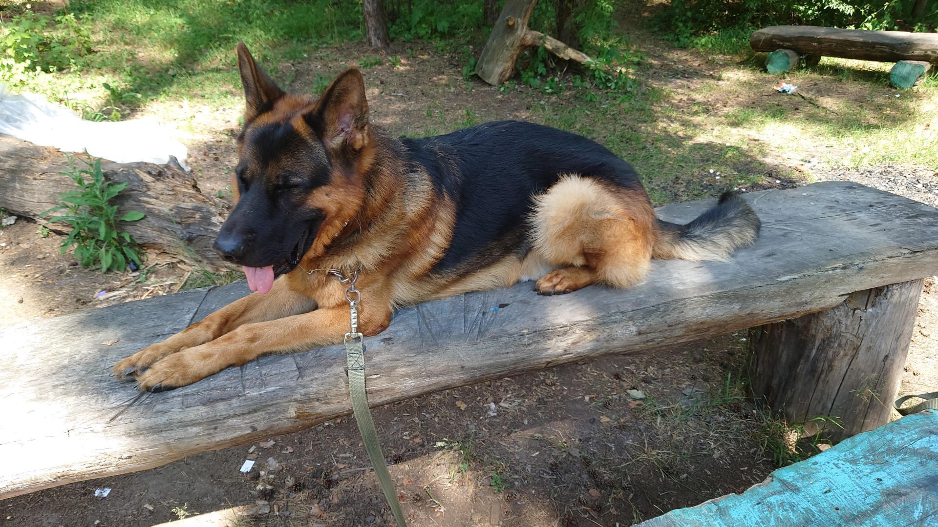 БАРС II В ИЮНЕ 2023 г