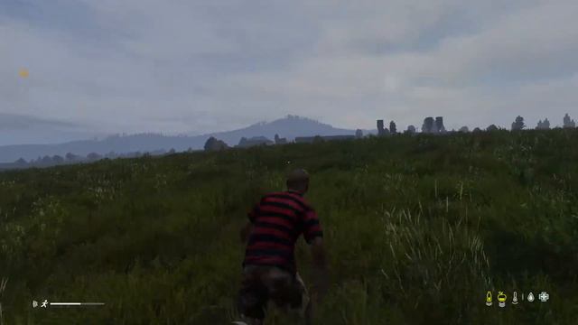 Casual DayZ смотреть онлайн