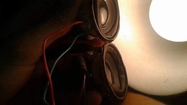 Лайфхак с pam8403 | сдвоенный канал | bass test RB bass king 2 drivers смотреть онлайн