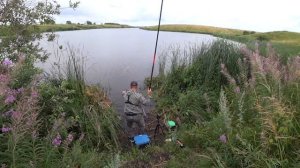 Рыбалка на карпа в камыше на поплавок. Ловля на маховую удочку.