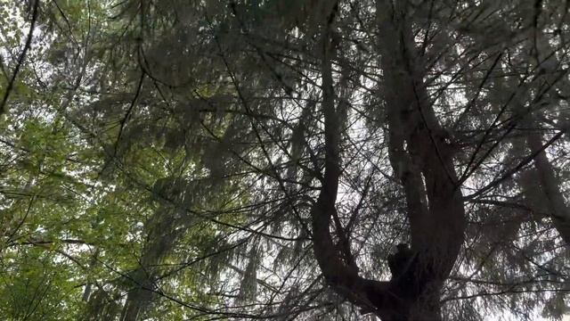 4 июня 2023 г. смотреть онлайн