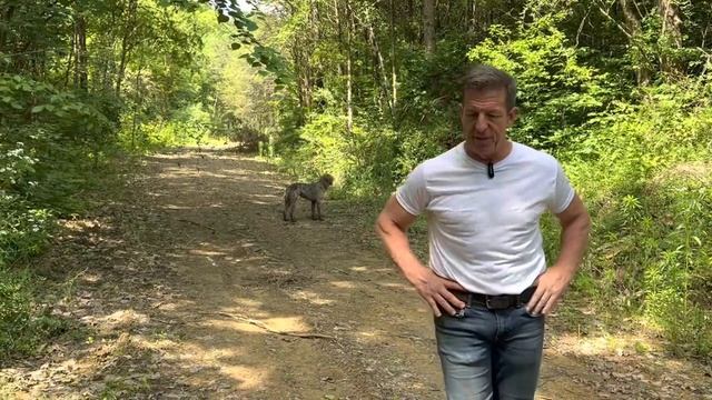 Finance Your Lot at our Gorgeous Buffalo Creek Tiny Home Development ??? смотреть онлайн