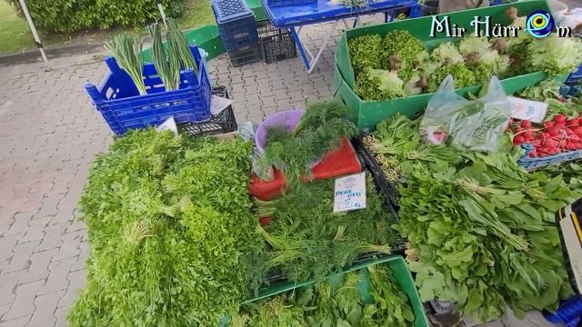 10 лет на те же грабли!? Павлония с глазами и колоколами ? Измир Турция 26.04.23 смотреть онлайн