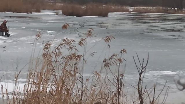 Релакс от тепличных дел . смотреть онлайн