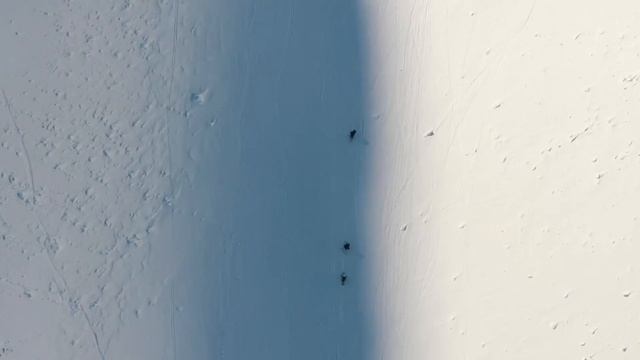 【AKASO The Brave 8 Camera】Giveaway ：Win A  EK7000 Camera And A Cooler Bag➕20% OFF Discount (YTB20N)