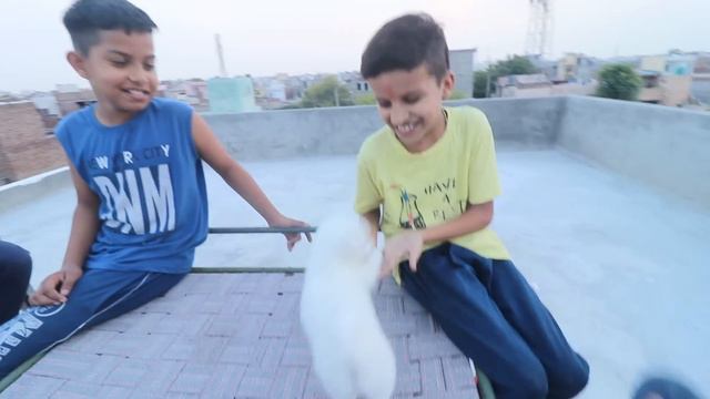 Oreo Playing With Family 😍 First Time смотреть онлайн