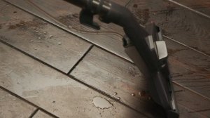 Моющий пылесос Thomas DryBOX Amfibia Pet для борьбы с шерстью домашних животных