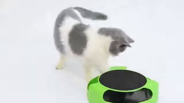Интерактивная игрушка для кошек Trixie Catch the Mouse смотреть онлайн