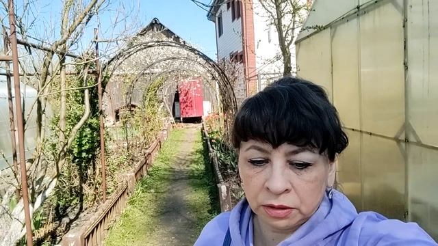 Спешу к детям на помощь. Обход хозяйства. Дела по огороду. Жизнь семьи в деревне. смотреть онлайн