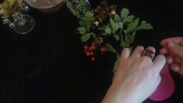 Оберег из рябины в полнолуние смотреть онлайн