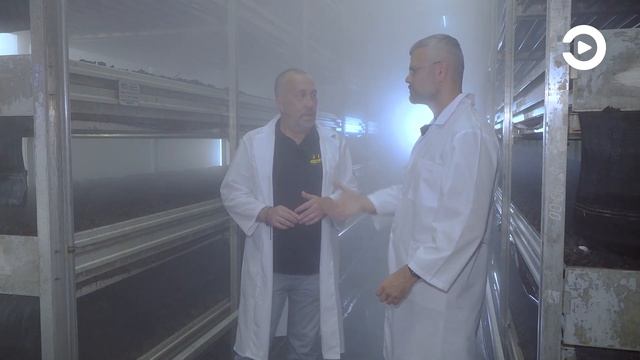 Лесные сокровища