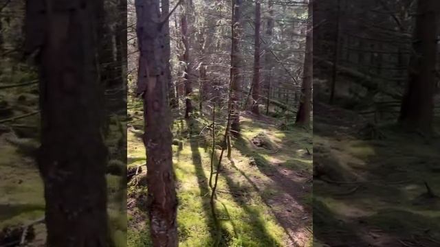 Все о жизни в Норвегии, стране фьордов, гор и викингов. смотреть онлайн