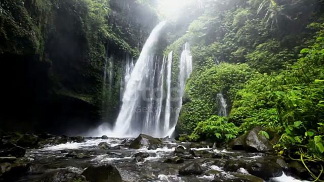 Relaxing Zen Music with Water Sounds • A Calm Atmosphere for Spa, Yoga and Relaxation смотреть онлайн