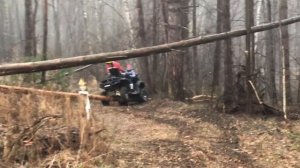 Стелс Гепард 650 vs 850! В поисках весны. GUEPARD 4