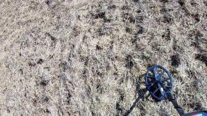 ТОП НАХОДКИ Первый выход на Коп 2021 С металлоискателем Minelab VANQUISH 540 PRO-PACK Ванквиш 540