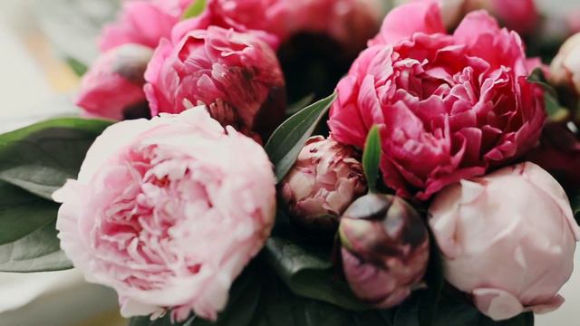 Позже он понял, но было поздно. Служитель предупреждал, но он думал, что умнее всех История из жизн смотреть онлайн