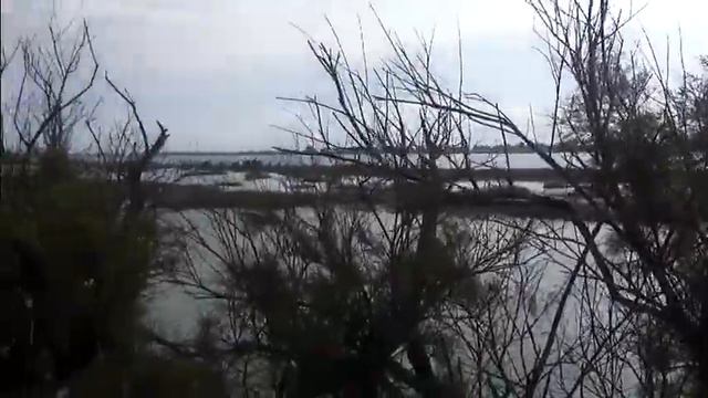 Visita del M5S a Valle Ossi e intervista sulla Laguna del Doge смотреть онлайн