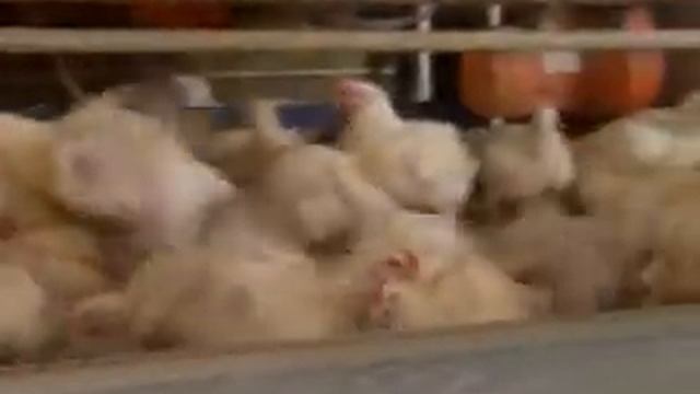 Вытарка смотреть онлайн