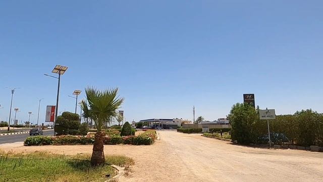 Актуальные цены на такси и маршрутки Шарм эль Шейх 2021, официальный прайс смотреть онлайн