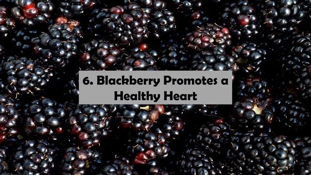 10 Health Benefits of Blackberry смотреть онлайн