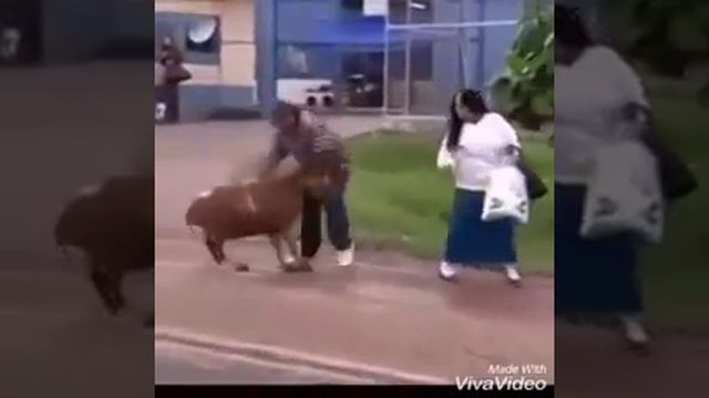Пьяный баран смотреть онлайн