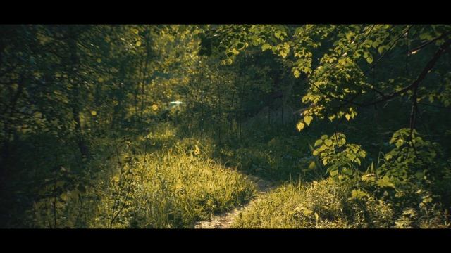 Awakening rays | Panasonic GH4 | 4K смотреть онлайн