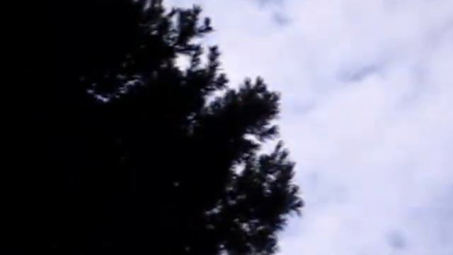 Прогулка в учительском сквере автор: Зоя Белоусова смотреть онлайн