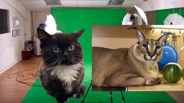 ПО МЕМАМ #1 Какой мем самый живучий? смотреть онлайн