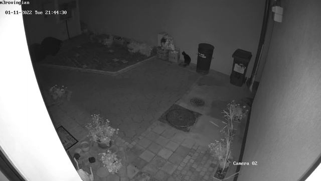 HIKVISION DS-2CD2183G2-IU The Garbage Strikes Back Surveillance Moments Ep.45 смотреть онлайн