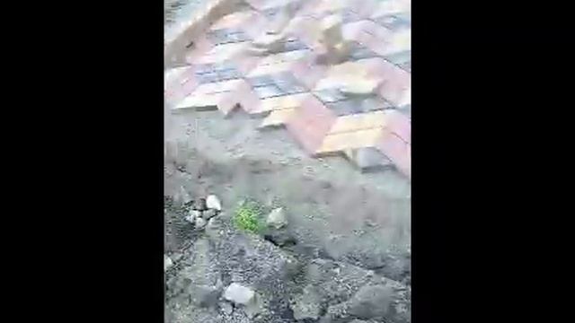 Красивый двор за 30 рабочих дней. 3D плитка. Укладка тротуарной плитки. Ромбик. Кубик-рубик. смотреть онлайн