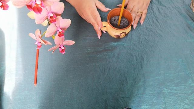 Как привлечь мужчину в свою жизнь.Заговор на мак. Обряд на любовь. Ритуал ОБРЕТЕНИЯ ЛЮБВИ И СЧАСТЬЯ смотреть онлайн