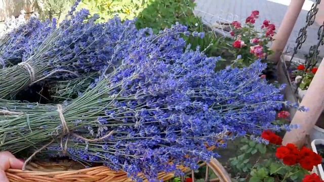 Стройка и Ремонт