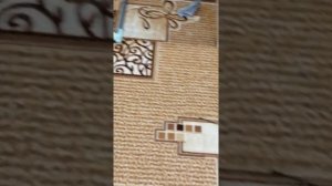 Обзор на диск возвращение блудного попугая dvd #4