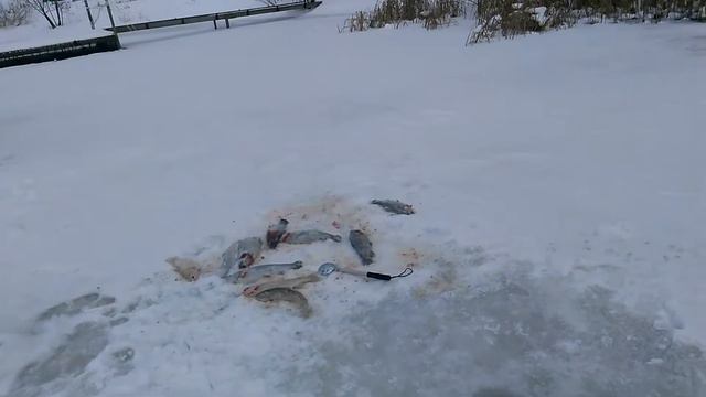 РК"ФишКА" Данилово смотреть онлайн