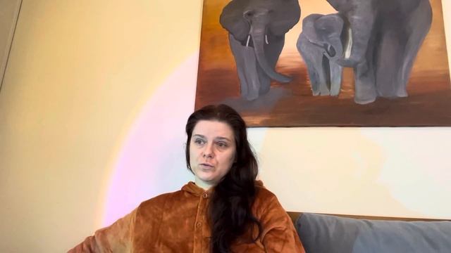 Как вывезти кошек заграницу Как вывезти животное в Турцию смотреть онлайн