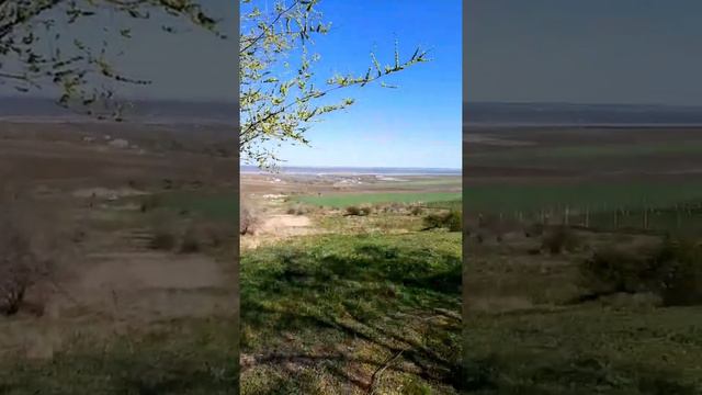 На лугу пасутся Ко????? Коровы😁 смотреть онлайн