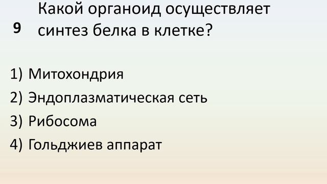 Б9 03 Пластический обмен  Биосинтез белков