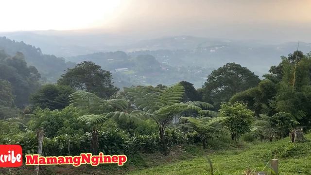 Filemon Camping Ground | Rekomendasi Camping Ground Terbaik | Camping Ground Keluarga смотреть онлайн