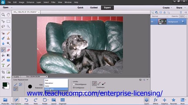 Adobe Photoshop Elements 12 Tutorial Painting Tools Employee Group Training 6.6 смотреть онлайн