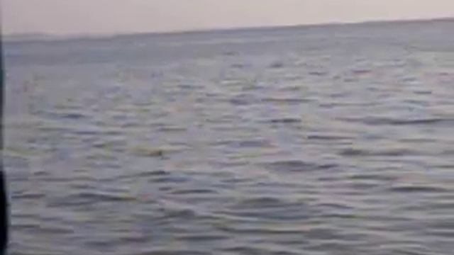 Рыбалка на Черном море на барабульку и кефаль смотреть онлайн