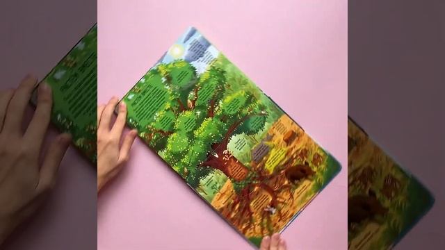 «Секреты леса» | О самых маленьких обитателях в природе и многое другое! смотреть онлайн