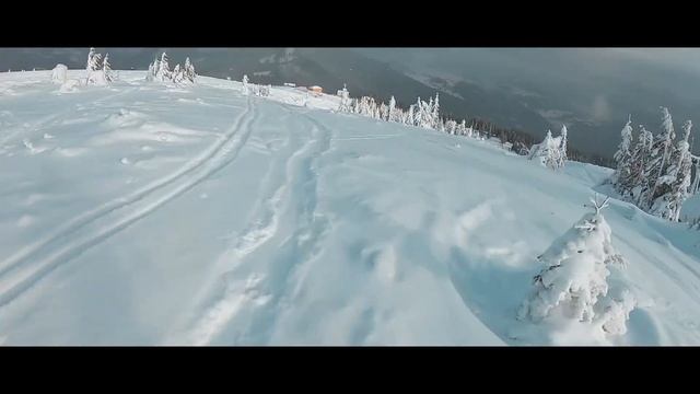 Фрирайд на Драгобрате. ОАЗА, Карпатская чайка. смотреть онлайн