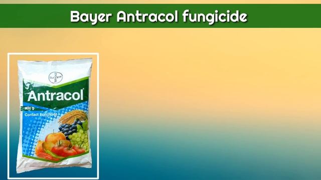 Bayer Antracol Fungicide | Bayer Nativo Fungicide | Trifloxystrobin 25%,
Tebuconazole 50% WG, Price