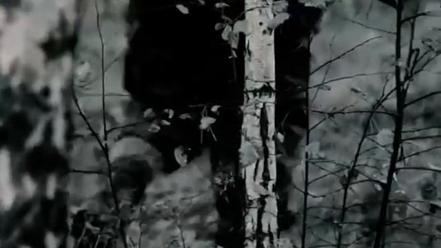 Братчанам рассказали, какую сумму они могут получить за незарегистрированное оружие смотреть онлайн