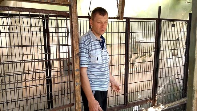 Индюки БИГ - 6 . Летнее содержание .Подробное описание постройки индюшатника. смотреть онлайн