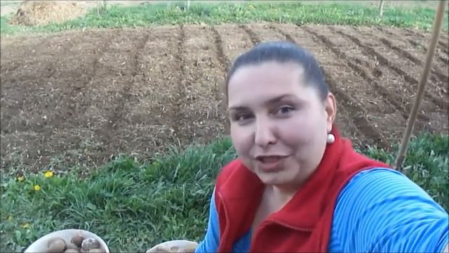 Как я худею 2015.День 47.Сжигаем калории на огороде. смотреть онлайн