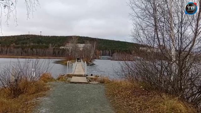 ТВ - Твой выбор №254