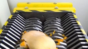 SHREDDING WATERMELON and Other Vegetables !! - THE SHREDDER SHOW - EXPERIMENT AT HOME