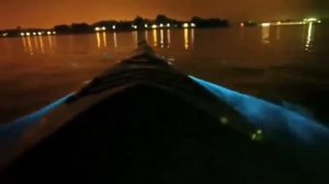 Пляж со светящимся планктоном на Мальдивах, остров Ваадху