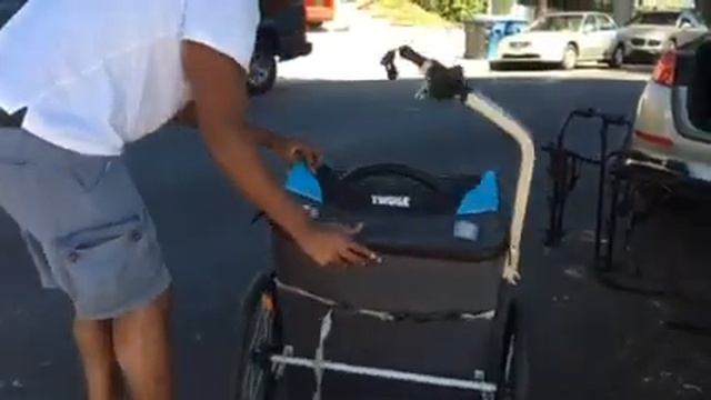 How to Install Carseat in Thule Bike Trailer смотреть онлайн